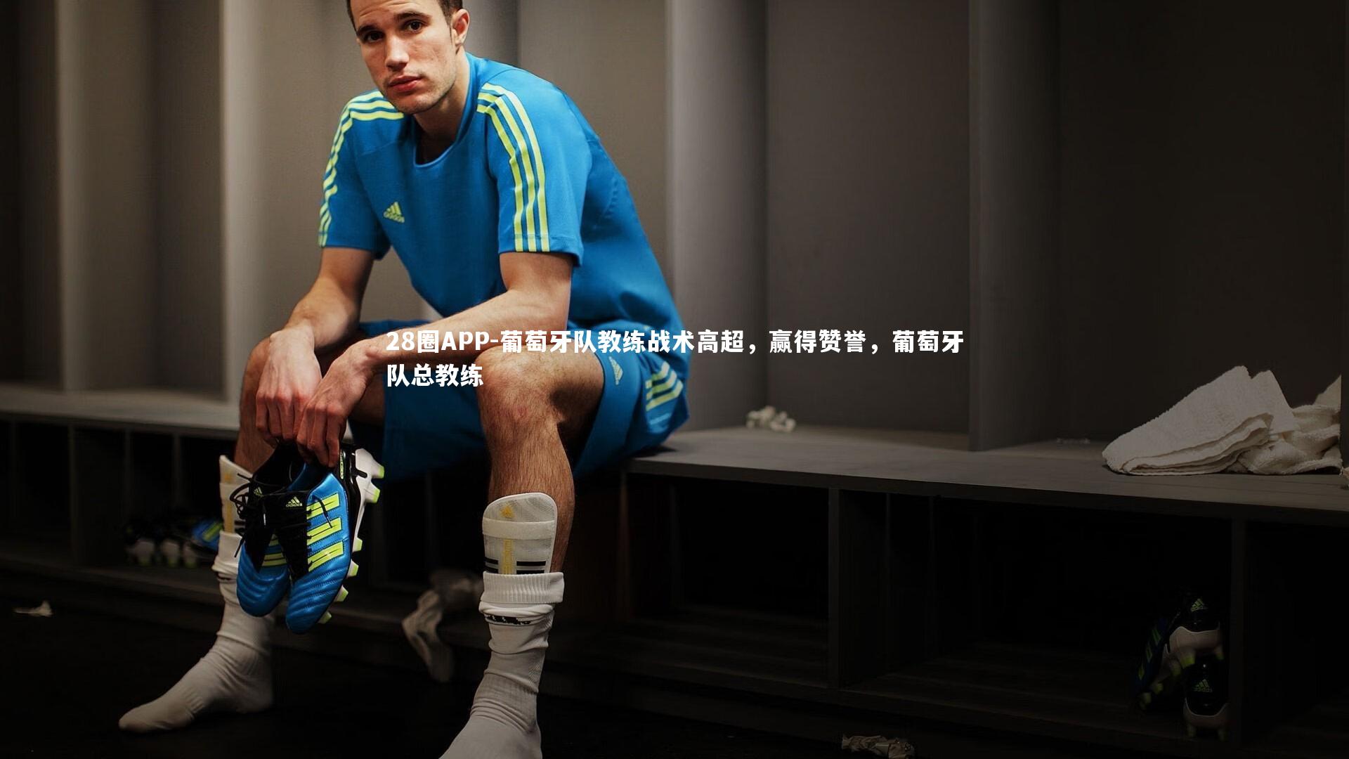 葡萄牙队教练战术高超，赢得赞誉，葡萄牙队总教练